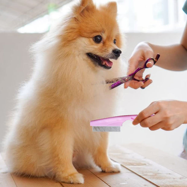 Grooming Comb Kit For Small Dogs Puppies  Pet Brush Fine-Tooth