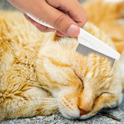 Grooming Comb Kit For Small Dogs Puppies  Pet Brush Fine-Tooth
