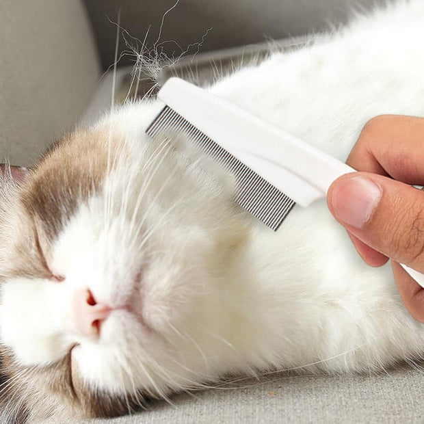 Grooming Comb Kit For Small Dogs Puppies  Pet Brush Fine-Tooth